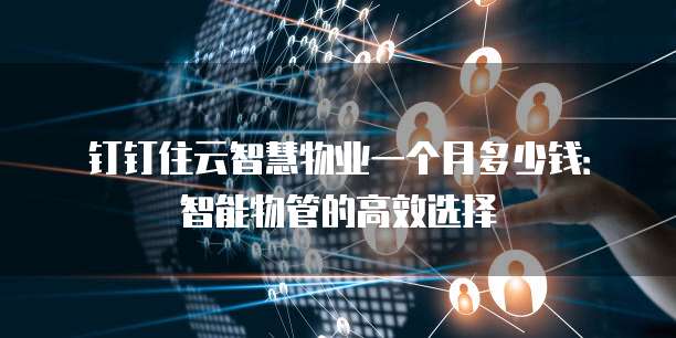 钉钉住云智慧物业一个月多少钱:智能物管的高效选择