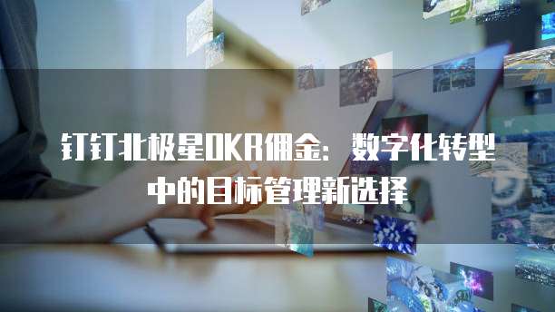 钉钉北极星OKR佣金：数字化转型中的目标管理新选择