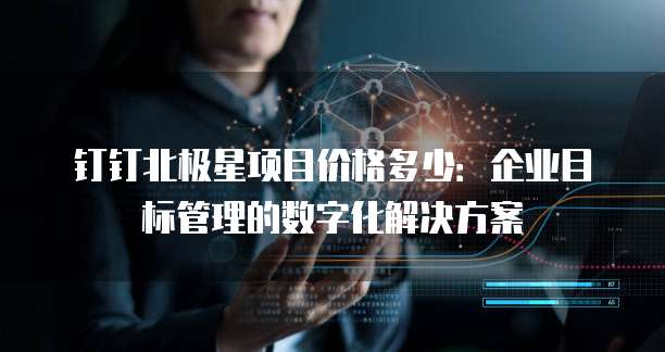 钉钉北极星项目价格多少:企业目标管理的数字化解决方案