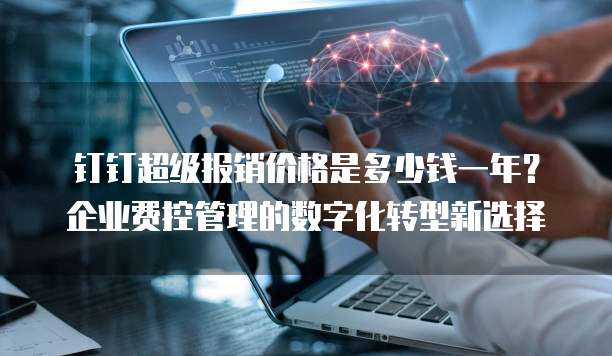 钉钉超级报销价格是多少钱一年?企业费控管理的数字化转型新选择