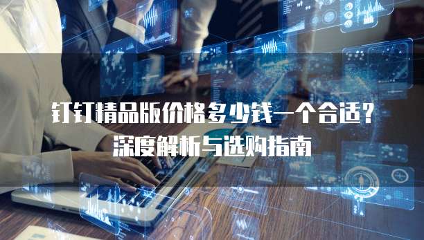 钉钉精品版价格多少钱一个合适?深度解析与选购指南