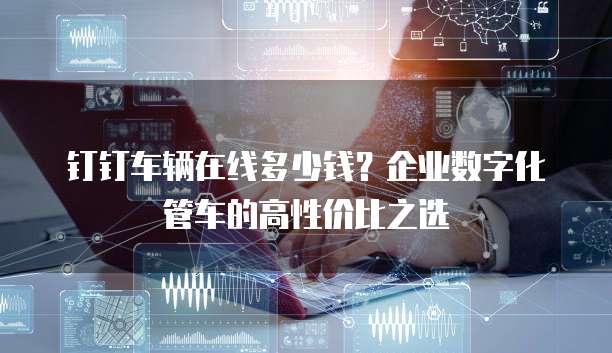 钉钉车辆在线多少钱？企业数字化管车的高性价比之选