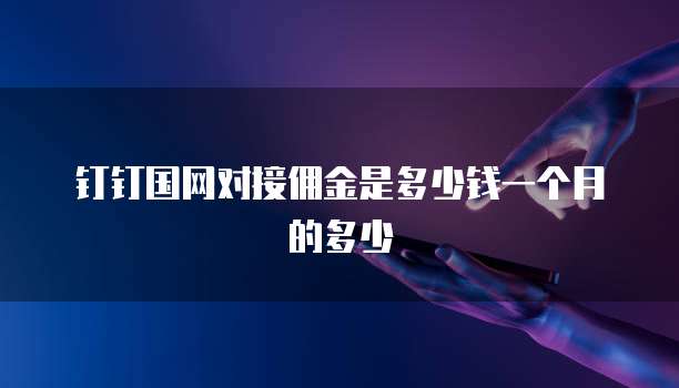 钉钉国网对接佣金是多少钱一个月的多少