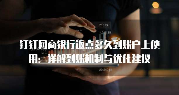 钉钉网商银行返点多久到账户上使用：详解到账机制与优化建议
