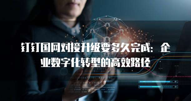 钉钉国网对接升级要多久完成:企业数字化转型的高效路径