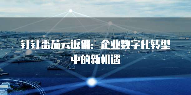 钉钉番茄云返佣：企业数字化转型中的新机遇