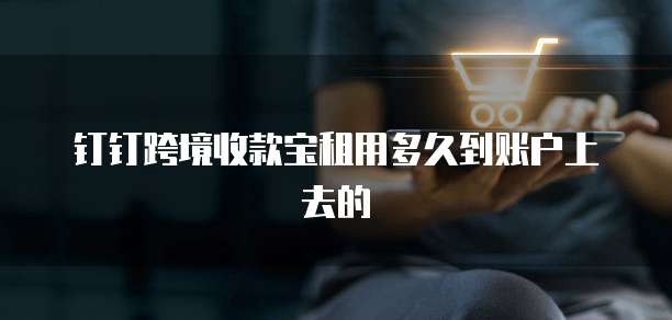 钉钉跨境收款宝租用多久到账户上去的