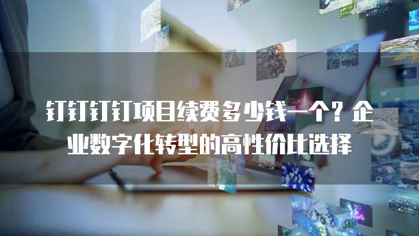 钉钉钉钉项目续费多少钱一个？企业数字化转型的高性价比选择