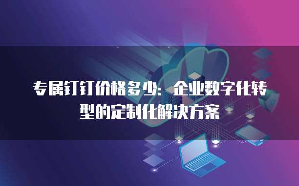 专属钉钉价格多少：企业数字化转型的定制化解决方案