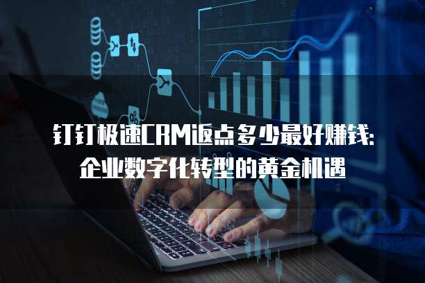 钉钉极速CRM返点多少最好赚钱:企业数字化转型的黄金机遇