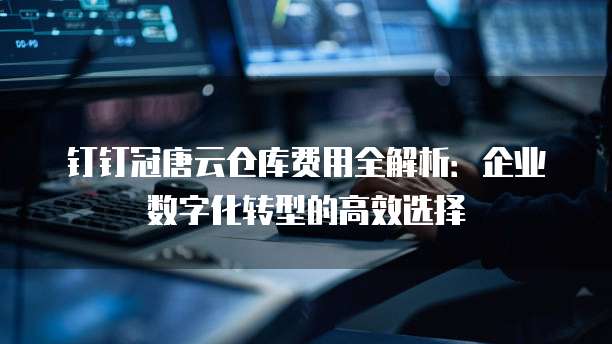 钉钉冠唐云仓库费用全解析:企业数字化转型的高效选择