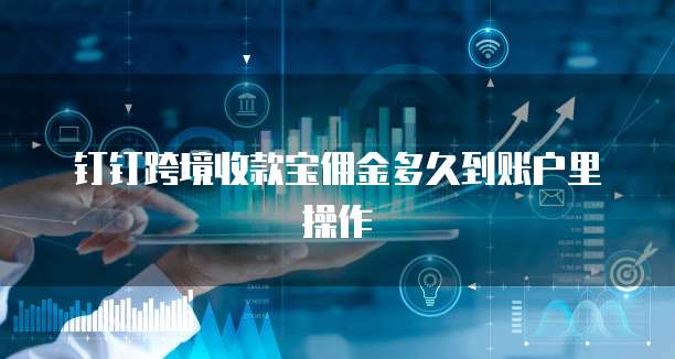 钉钉跨境收款宝佣金多久到账户里操作