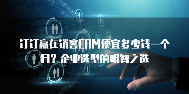 钉钉赢在销客CRM便宜多少钱一个月?企业选型的明智之选