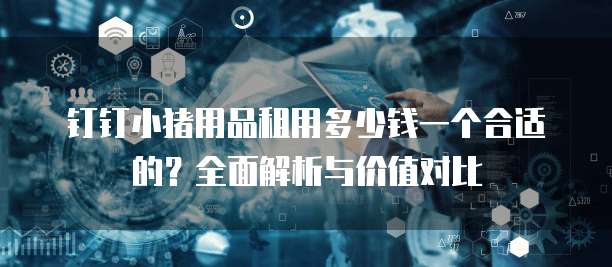 钉钉小猪用品租用多少钱一个合适的?全面解析与价值对比