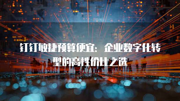 钉钉敏捷预算便宜：企业数字化转型的高性价比之选