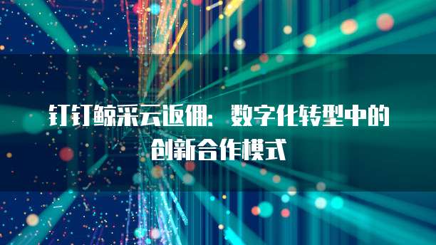 钉钉鲸采云返佣：数字化转型中的创新合作模式