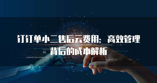 钉钉单小二售后云费用:高效管理背后的成本解析