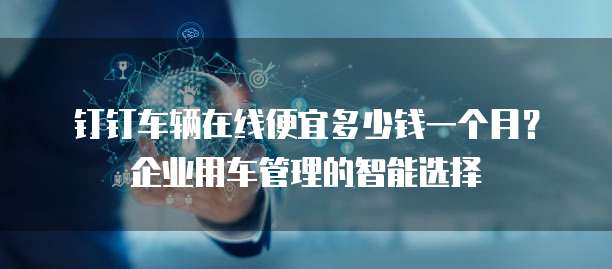 钉钉车辆在线便宜多少钱一个月？企业用车管理的智能选择