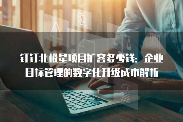 钉钉北极星项目扩容多少钱:企业目标管理的数字化升级成本解析