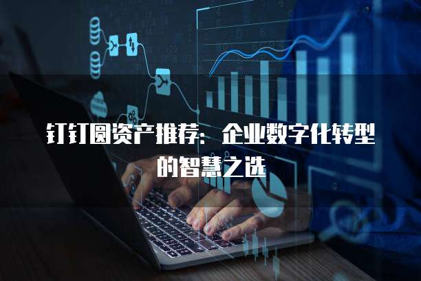钉钉圆资产推荐:企业数字化转型的智慧之选