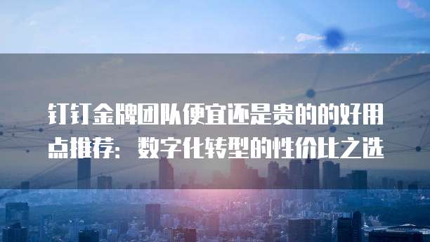 钉钉金牌团队便宜还是贵的的好用点推荐:数字化转型的性价比之选