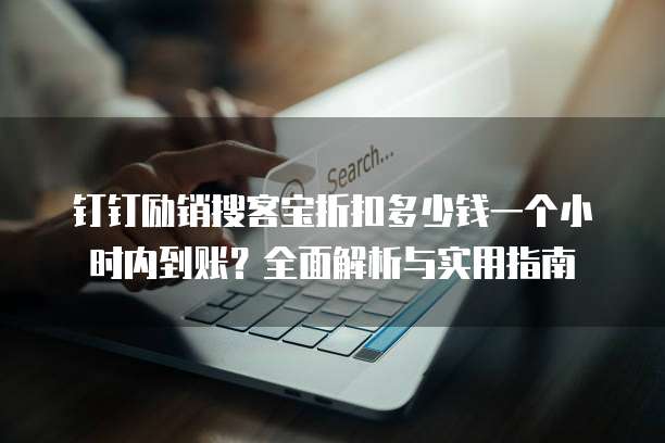 钉钉励销搜客宝折扣多少钱一个小时内到账?全面解析与实用指南