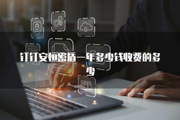 钉钉安恒密盾一年多少钱收费的多少