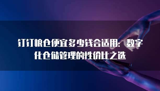 钉钉粮仓便宜多少钱合适用:数字化仓储管理的性价比之选