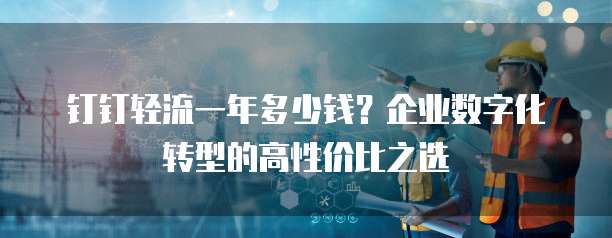 钉钉轻流一年多少钱？企业数字化转型的高性价比之选
