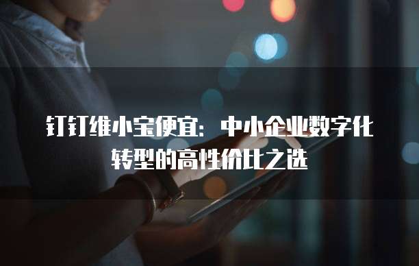 钉钉维小宝便宜：中小企业数字化转型的高性价比之选