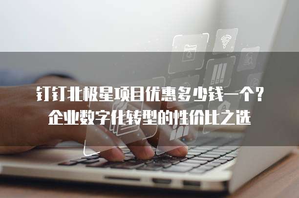 钉钉北极星项目优惠多少钱一个?企业数字化转型的性价比之选