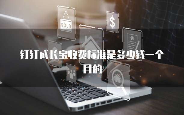 钉钉成长宝收费标准是多少钱一个月的