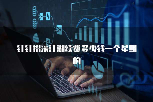 钉钉招采江湖续费多少钱一个星期的