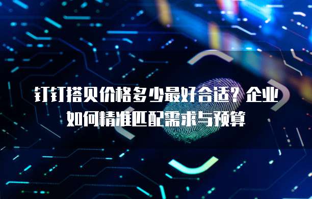 钉钉搭贝价格多少最好合适?企业如何精准匹配需求与预算