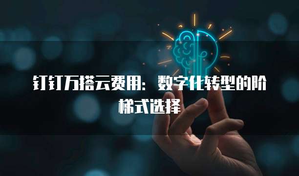 钉钉万搭云费用:数字化转型的阶梯式选择