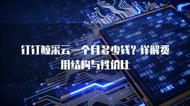 钉钉鲸采云一个月多少钱?详解费用结构与性价比
