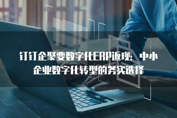 钉钉企聚变数字化ERP返现:中小企业数字化转型的务实选择