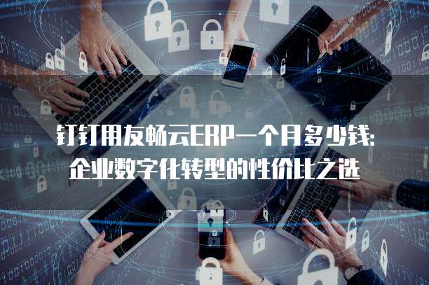 钉钉用友畅云ERP一个月多少钱:企业数字化转型的性价比之选