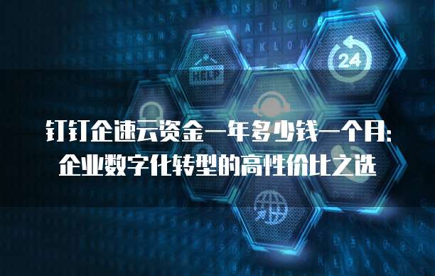 钉钉企速云资金一年多少钱一个月:企业数字化转型的高性价比之选