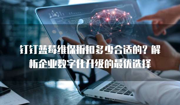 钉钉蓝莓维保折扣多少合适的?解析企业数字化升级的最优选择