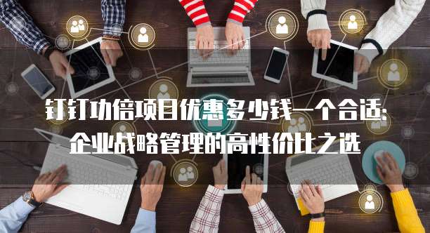钉钉功倍项目优惠多少钱一个合适:企业战略管理的高性价比之选