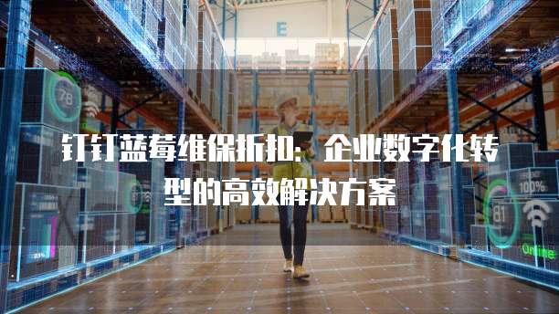 钉钉蓝莓维保折扣:企业数字化转型的高效解决方案