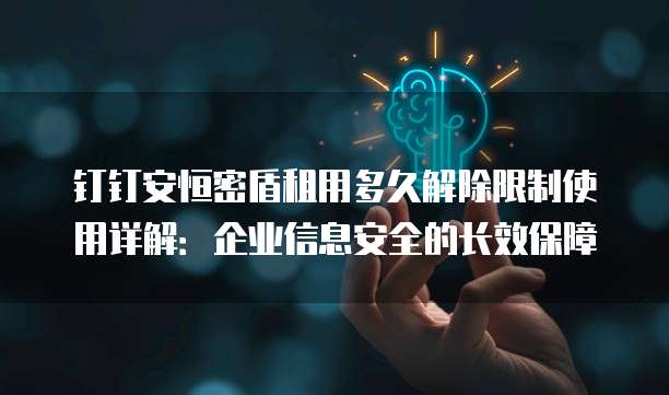 钉钉安恒密盾租用多久解除限制使用详解：企业信息安全的长效保障
