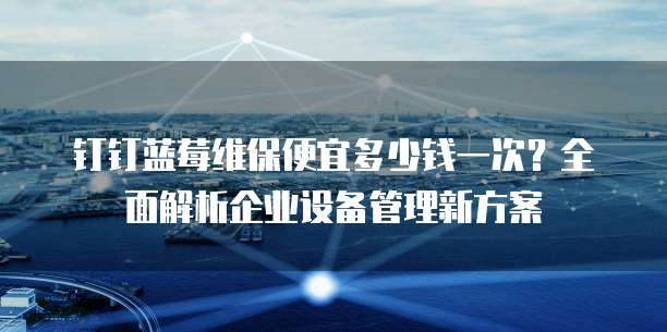 钉钉蓝莓维保便宜多少钱一次？全面解析企业设备管理新方案