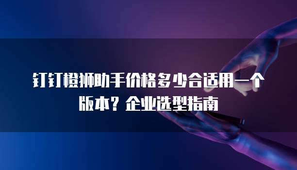 钉钉橙狮助手价格多少合适用一个版本？企业选型指南
