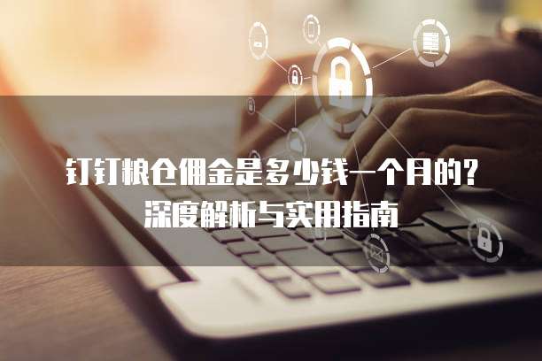 钉钉粮仓佣金是多少钱一个月的?深度解析与实用指南