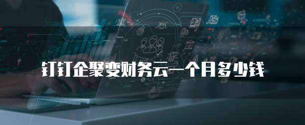 钉钉企聚变财务云一个月多少钱