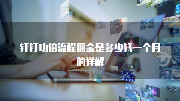 钉钉功倍流程佣金是多少钱一个月的详解