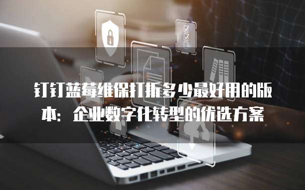 钉钉蓝莓维保打折多少最好用的版本：企业数字化转型的优选方案