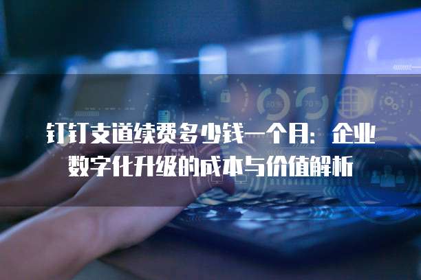 钉钉支道续费多少钱一个月:企业数字化升级的成本与价值解析